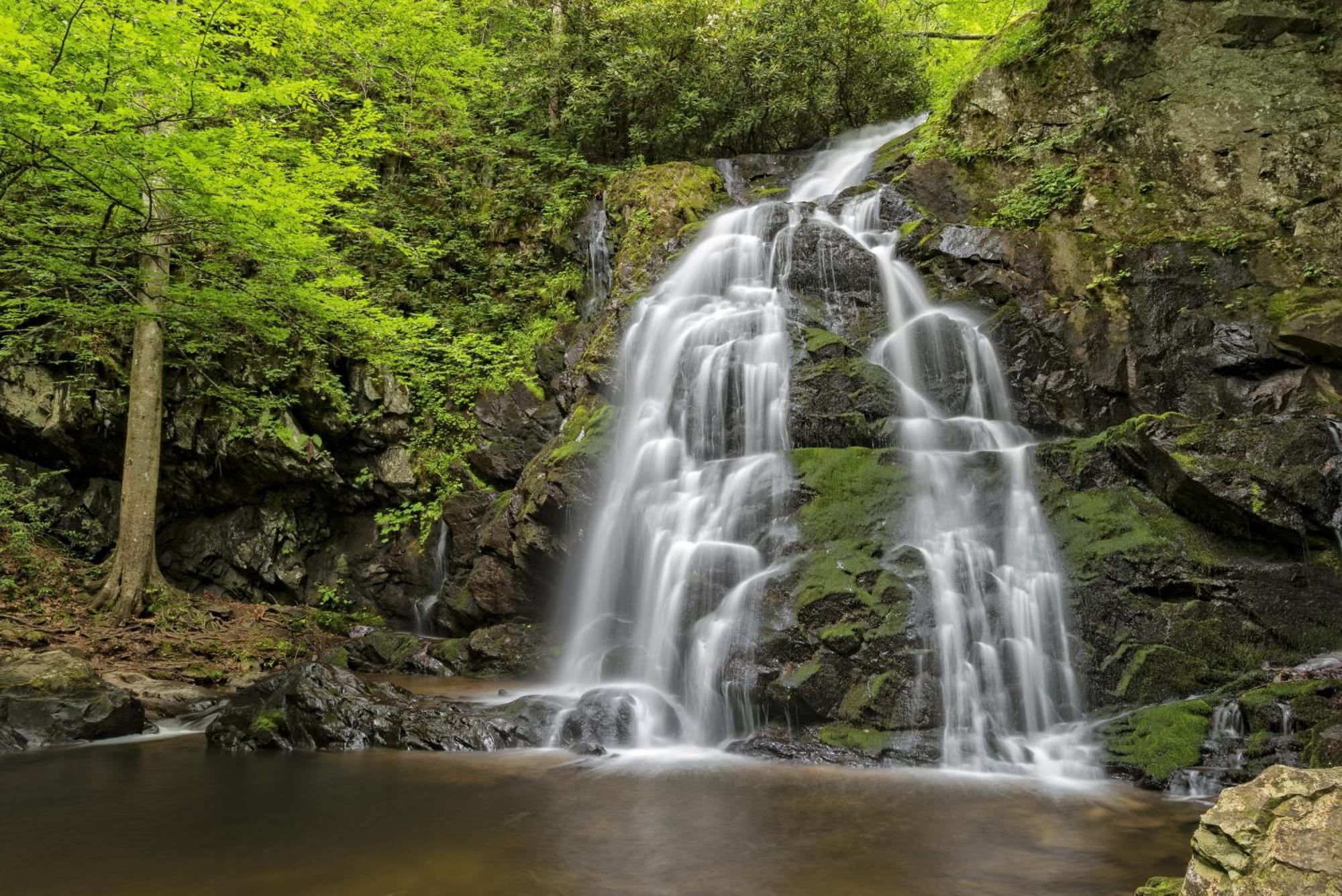 River Breeze, Wifi, 1089 Free Tickets Each Paid Day, Dollywood And More Pigeon Forge Dış mekan fotoğraf